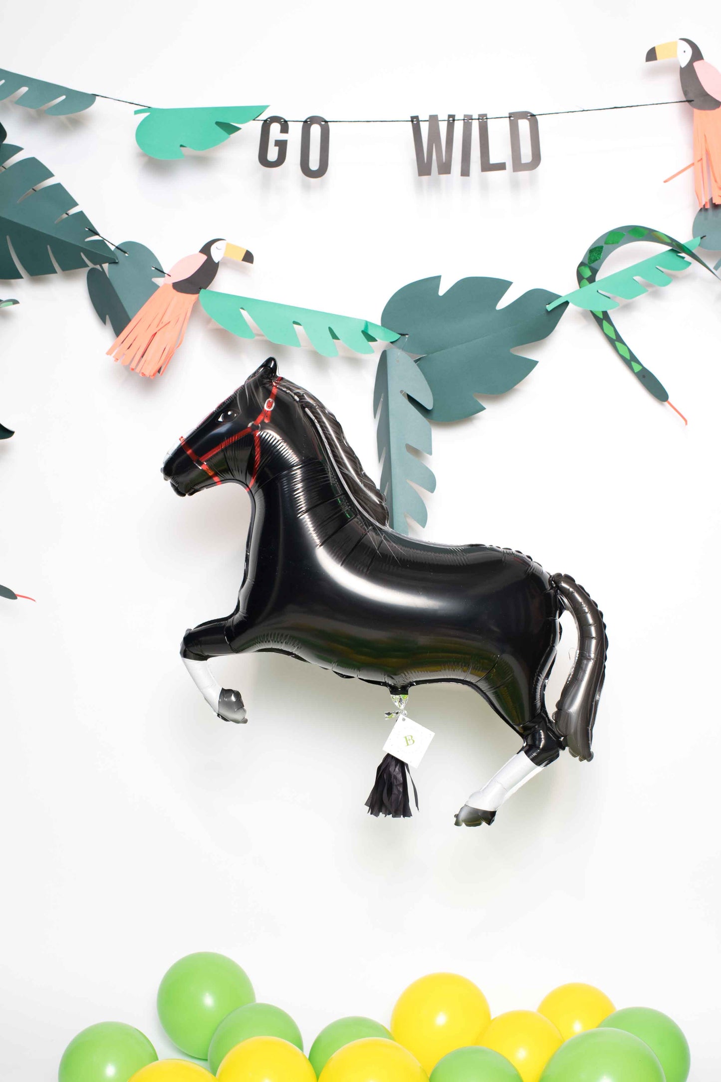 Caballo Negro