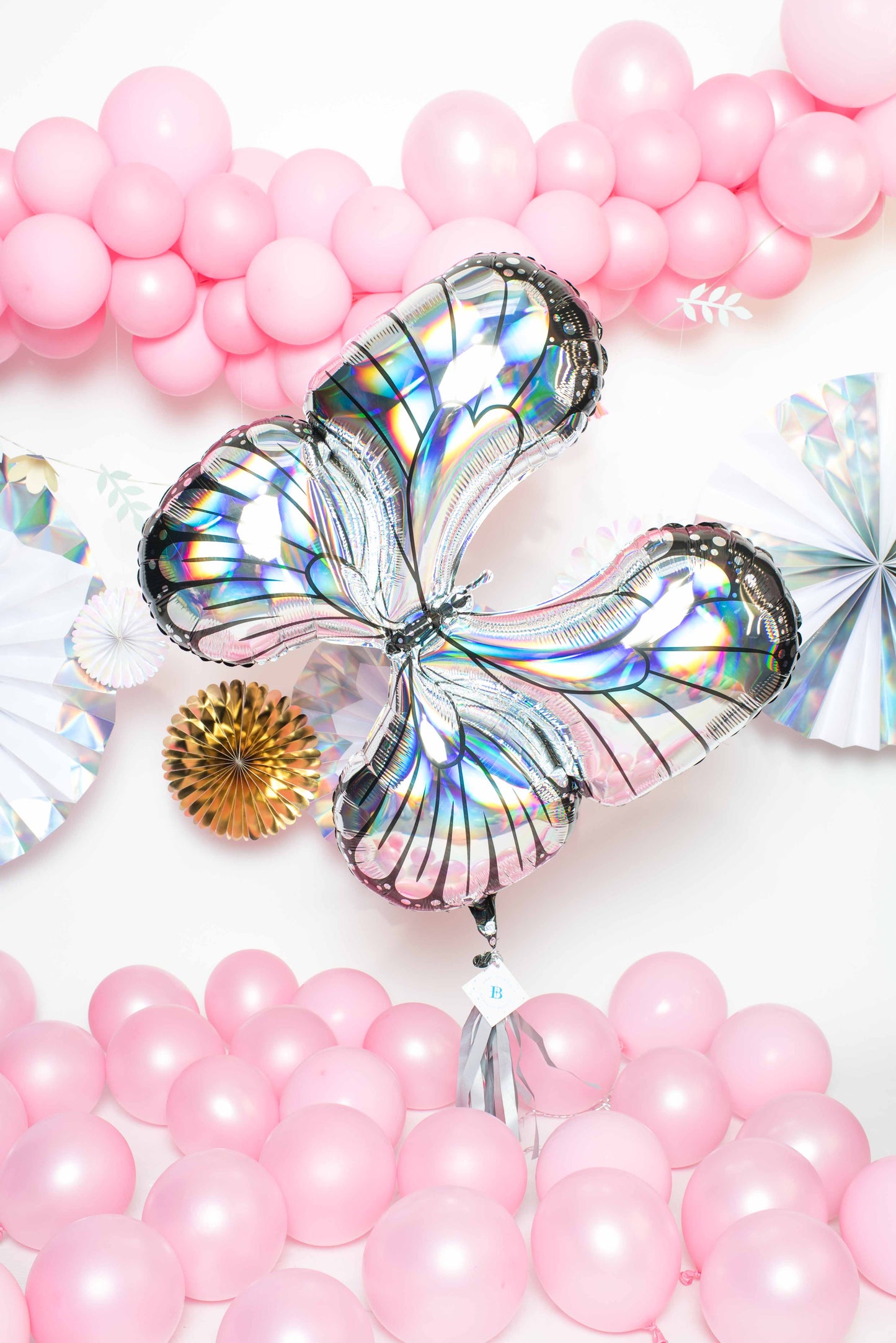 Mariposa (dos versiones)