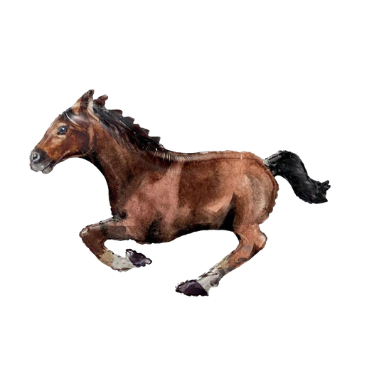 Caballo Café